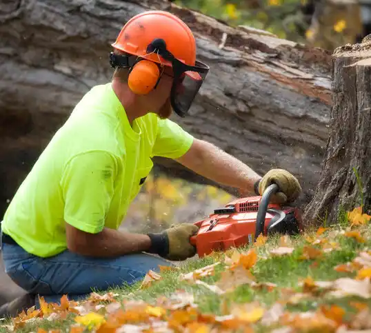 tree services Aberdeen Proving Ground